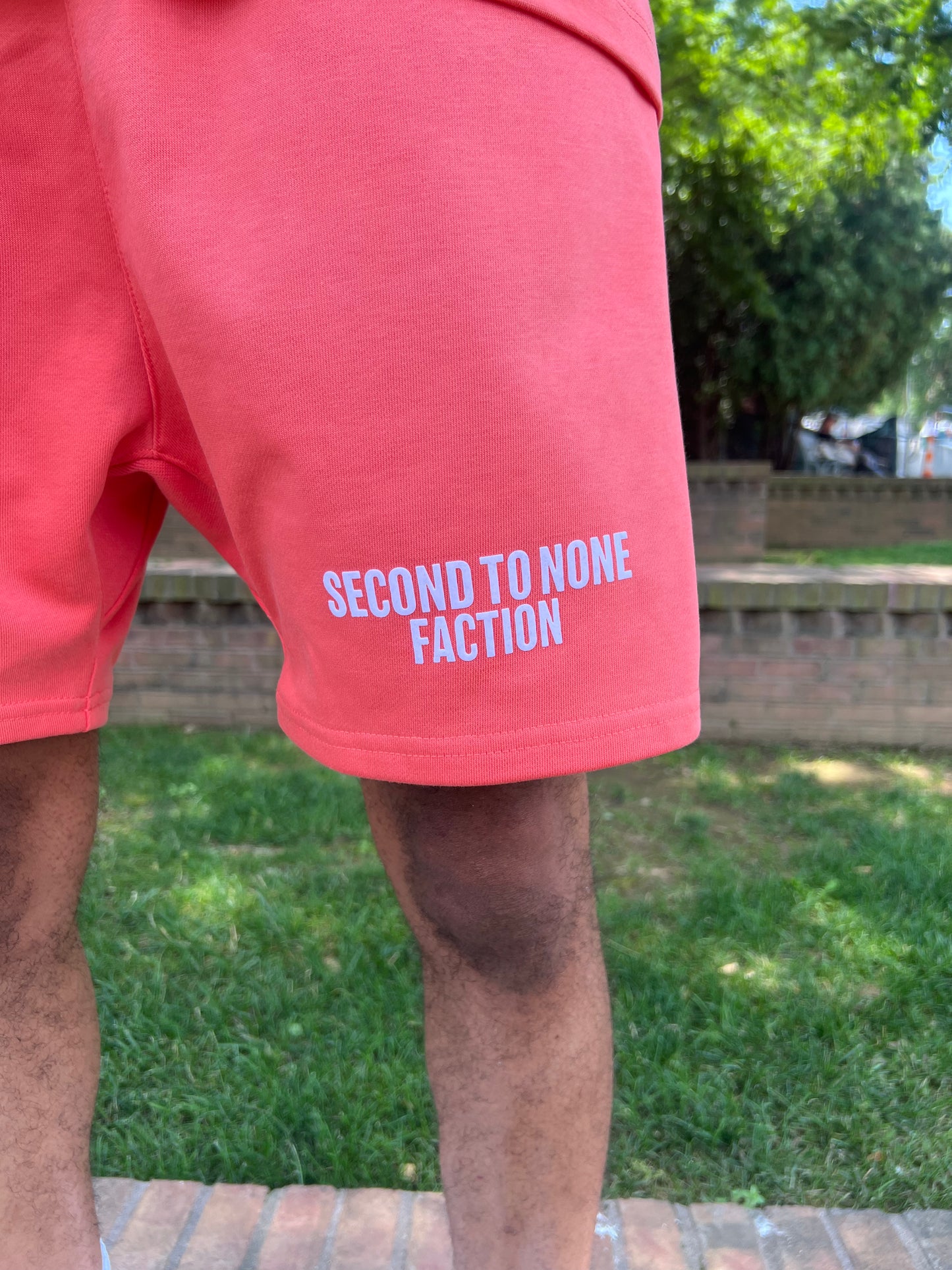 Second to None Faction T-Shirt/Short Salmon Set
